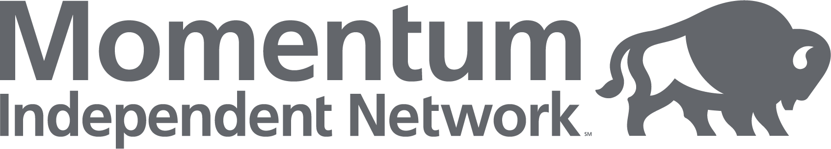 Momentum Independent Network
